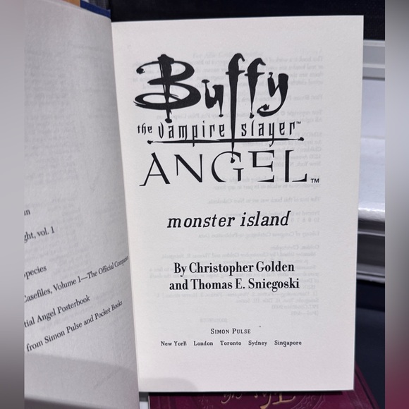 🧛‍♀️✨ Buffy the Vampire Slayer Book Bundle – Slay-Worthy Reads! ✨🧛‍♂️ - Picture 12 of 16